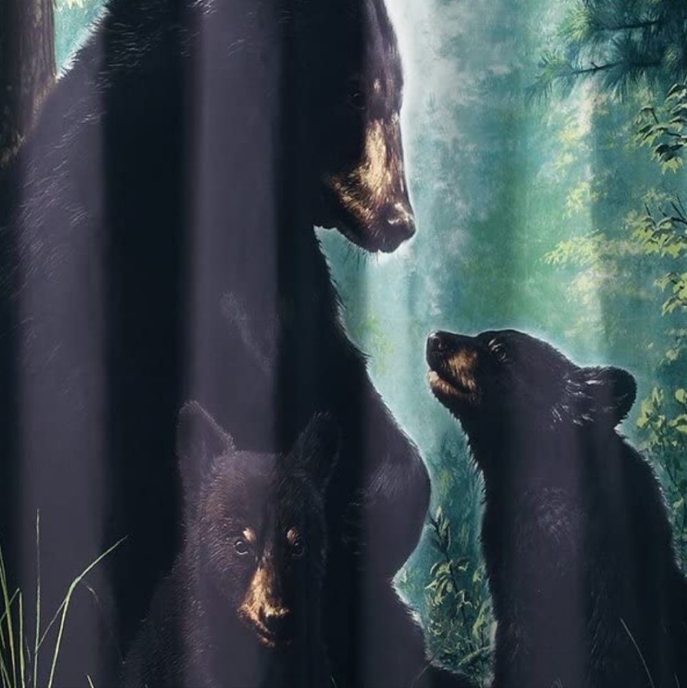 Shower curtain